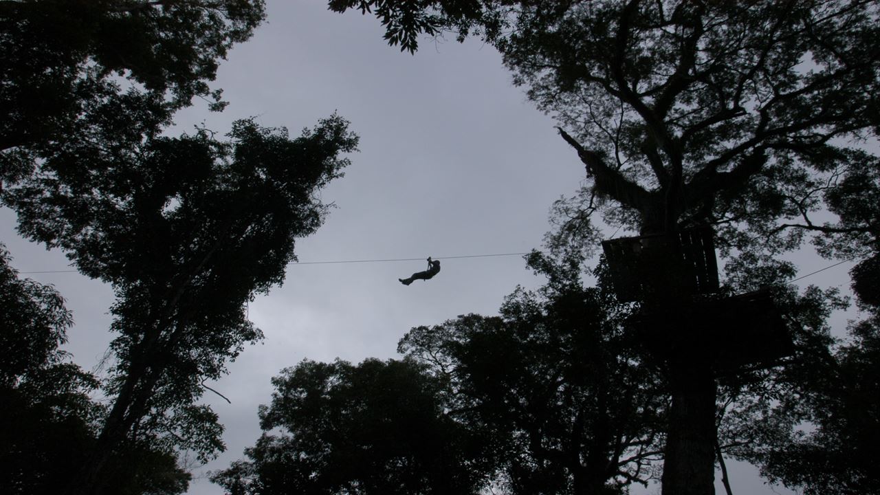 Aventura De Jungle Fly Em Pequenos Grupos (4)