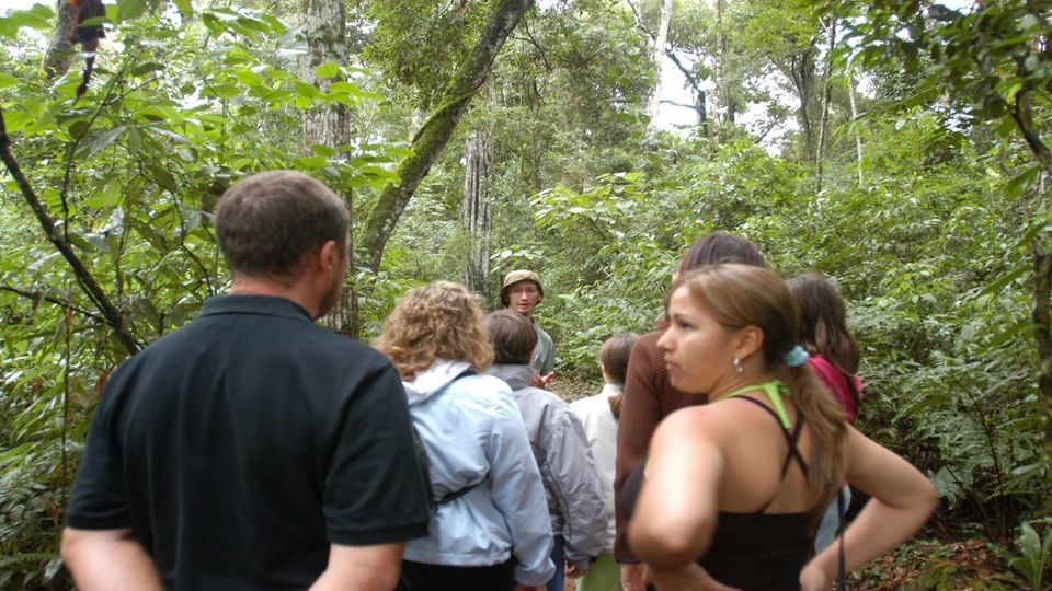 Jungle Fly Iguazu: Trekking & Canopy (Small Group) foto 3