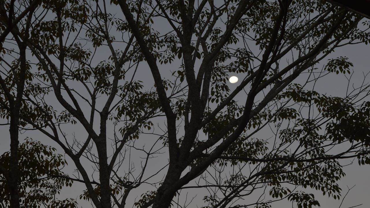 Iguazu Falls With Full Moon (1)