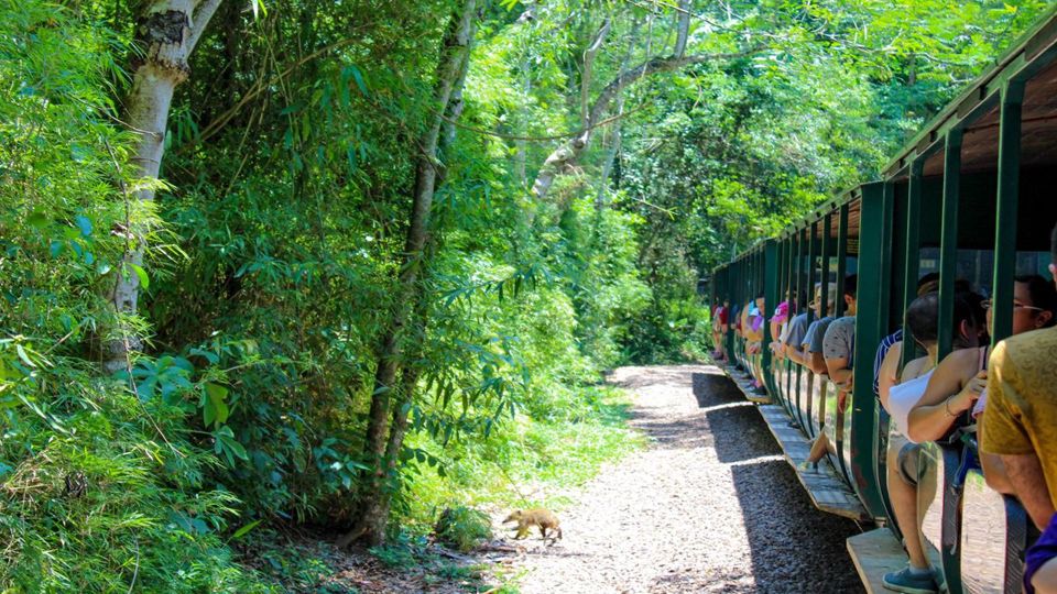Argentine Side of Falls with Guide & Transfers foto 4