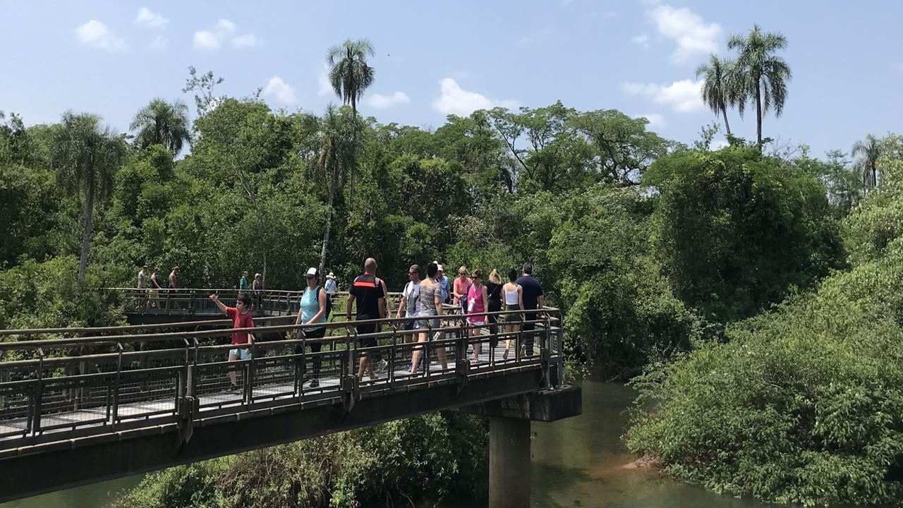 Iguazu Falls Private Argentine Side And Gran Aventura Walk (3)