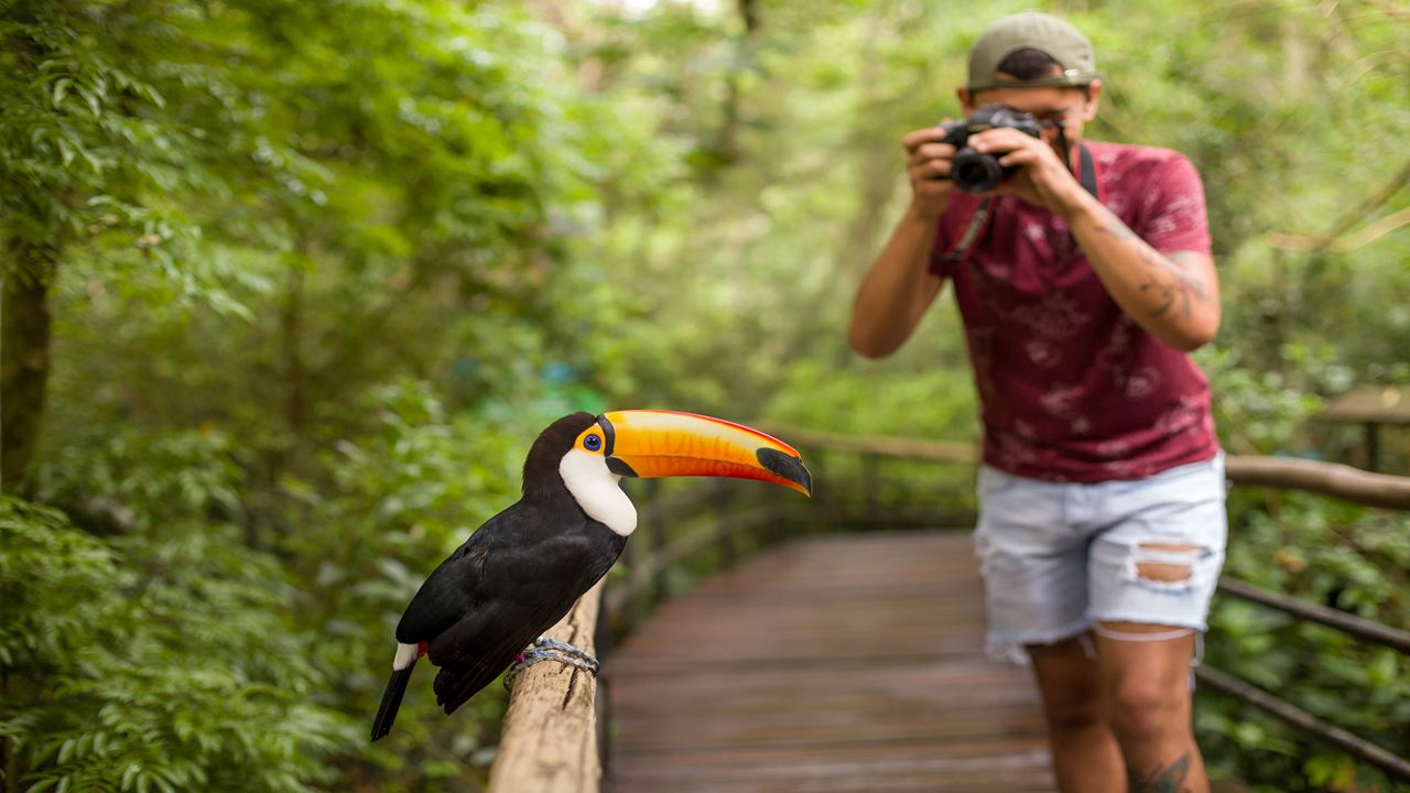 Iguazu Falls Brazilian Side With Bird Park (4)