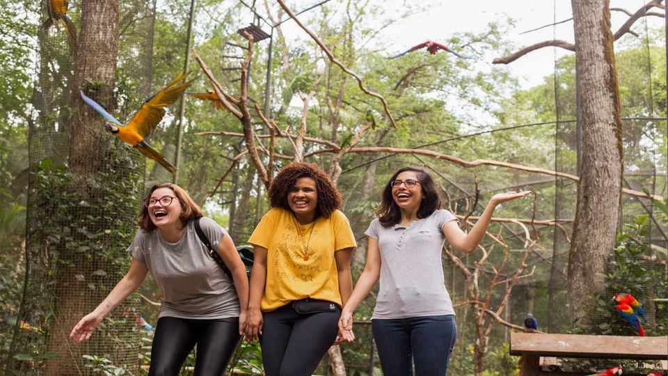 Parque das Aves e Cataratas Lado Brasileiro foto 7