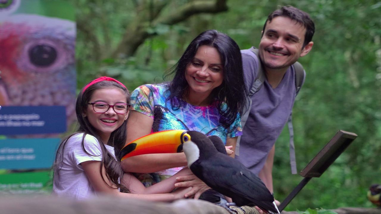Iguazu Falls Brazilian Side With Bird Park (5)
