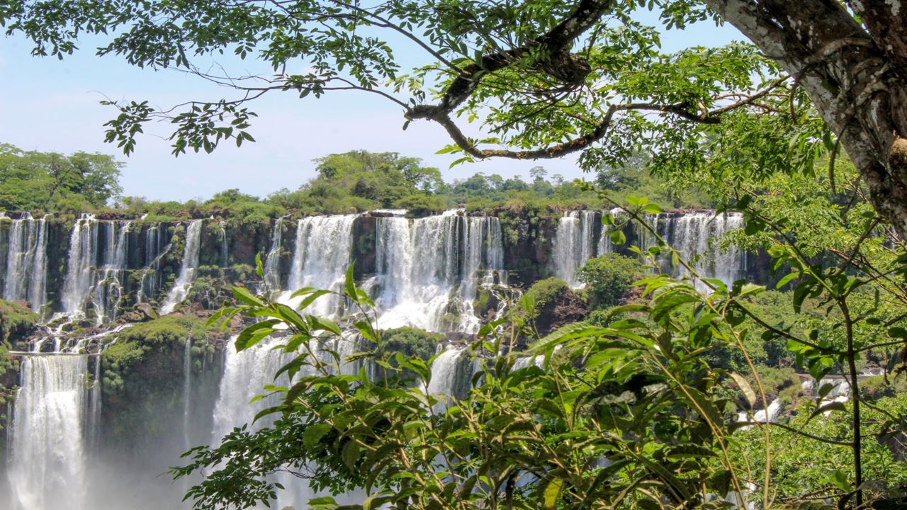 Iguazu Falls Brazilian Side With Bird Park (3)