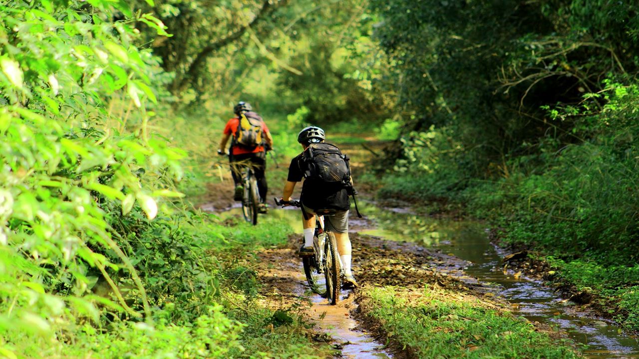 Mountain Bike Through Iguazu National Park (1)