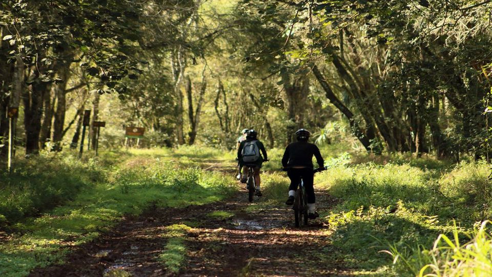 Mountain Bike Por El Parque Nacional Iguazu foto 4