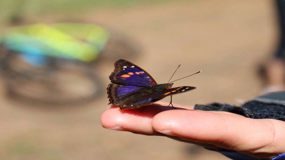 Mountain Bike Por El Parque Nacional Iguazu foto 3