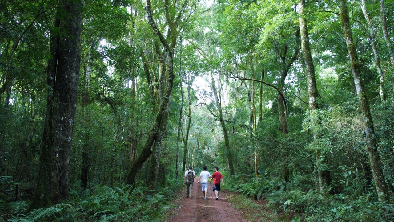 Paquete Cataratas Del Iguazu Aventura foto 1