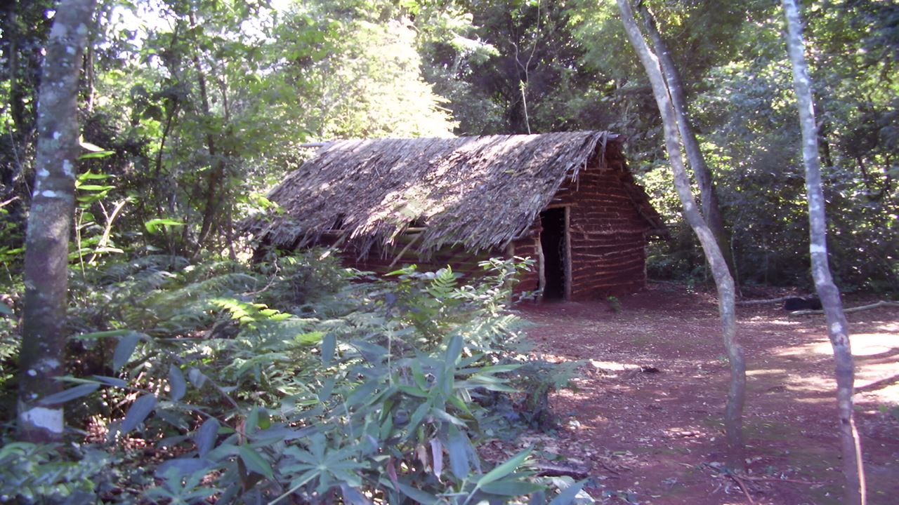 Tour Na Vila Aborigen De Yriapu (1)
